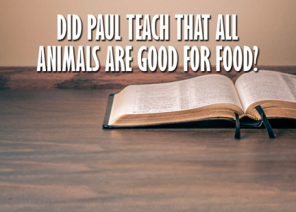 TW Answers: Did Paul Teach That All Animals Are Meant to be Eaten?