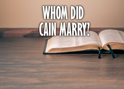 TW Answers: Whom Did Cain Marry?