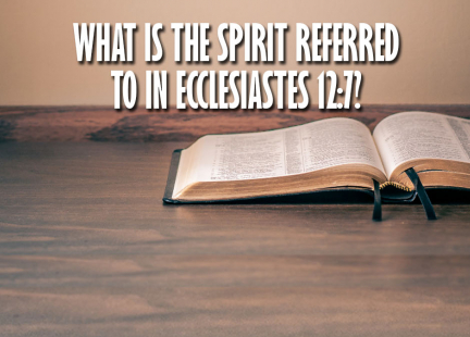 TW Answers: What is the Spirit Referred to in Ecclesiastes 12:7?