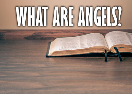 TW Answers: What Are Angels?